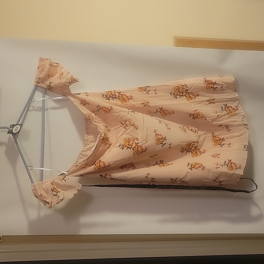 031 JNSQ 100% Mulberry Silk Dress